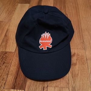 Never Worn Nickelodeon Navy Blue Baseball Hat